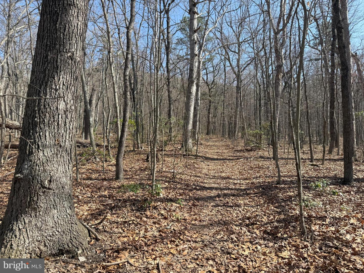 SHOTGUN SPRINGS, NEW MARKET, Virginia 22844, ,Land,For sale,SHOTGUN SPRINGS,VARO2002298 MLS # VARO2002298