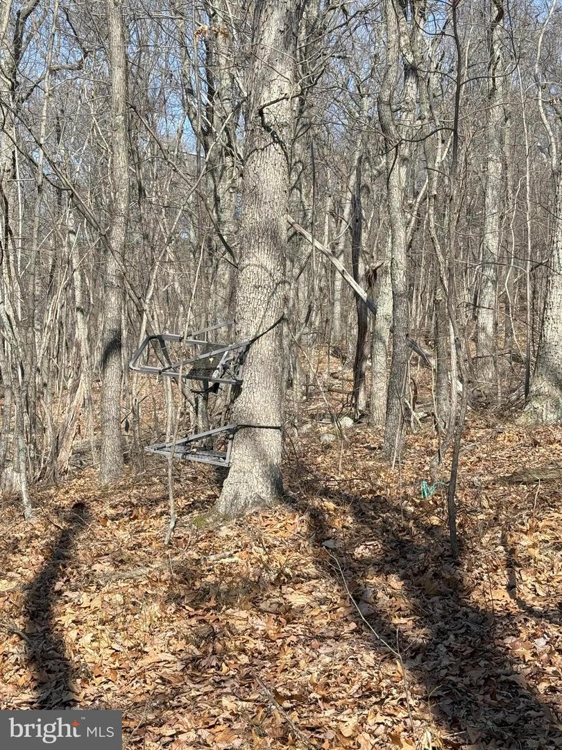 SHOTGUN SPRINGS, NEW MARKET, Virginia 22844, ,Land,For sale,SHOTGUN SPRINGS,VARO2002298 MLS # VARO2002298