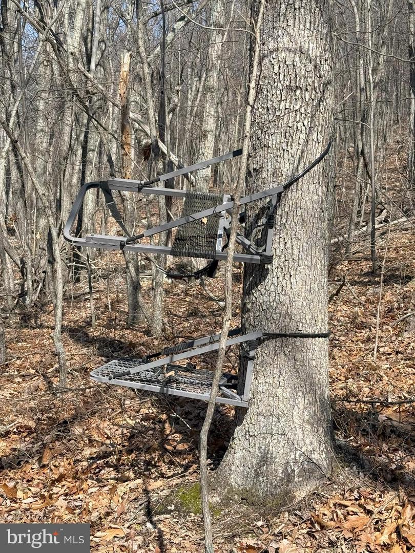 SHOTGUN SPRINGS, NEW MARKET, Virginia 22844, ,Land,For sale,SHOTGUN SPRINGS,VARO2002298 MLS # VARO2002298