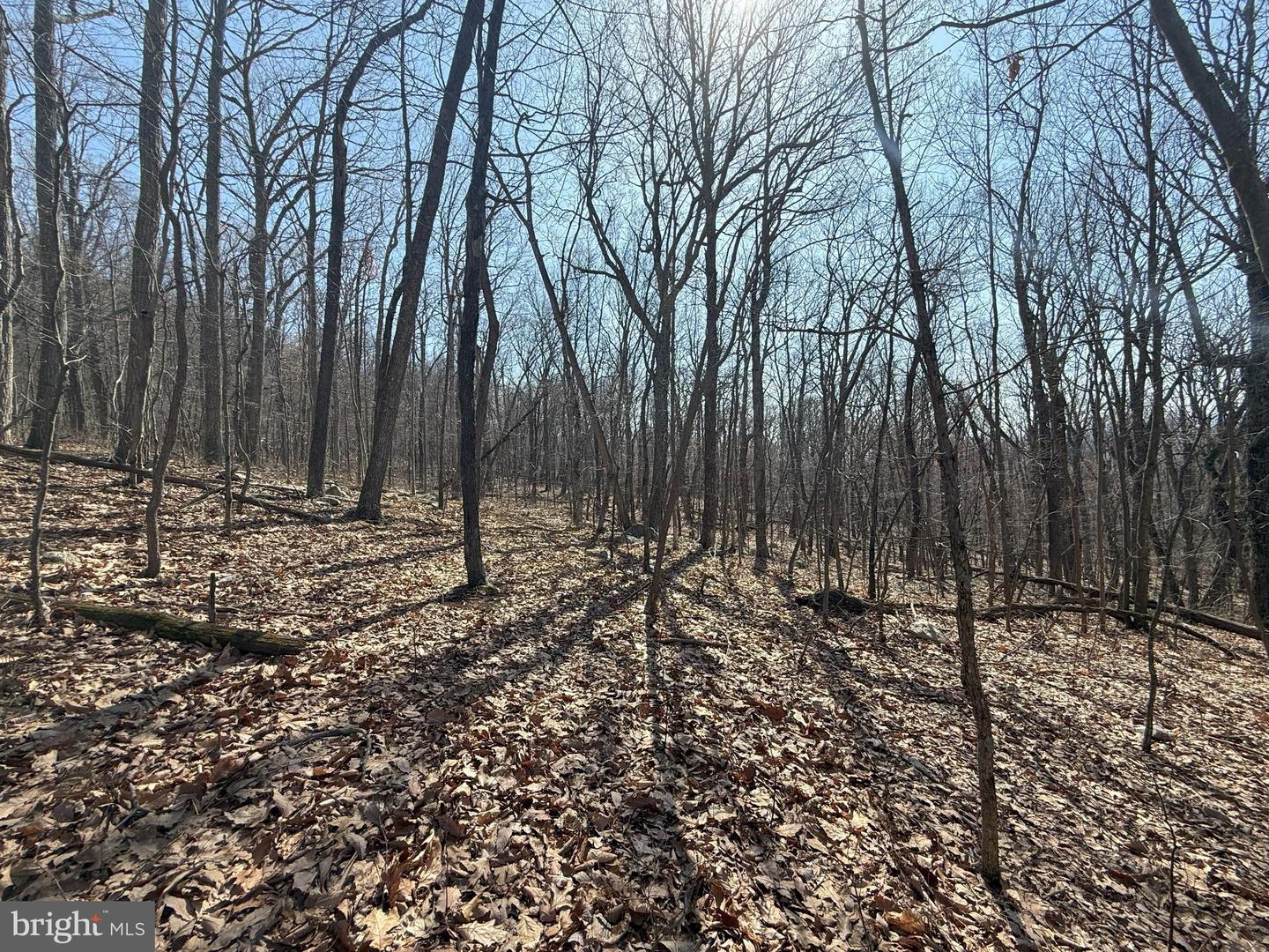 SHOTGUN SPRINGS, NEW MARKET, Virginia 22844, ,Land,For sale,SHOTGUN SPRINGS,VARO2002298 MLS # VARO2002298