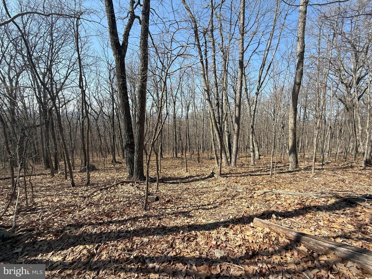 SHOTGUN SPRINGS, NEW MARKET, Virginia 22844, ,Land,For sale,SHOTGUN SPRINGS,VARO2002298 MLS # VARO2002298