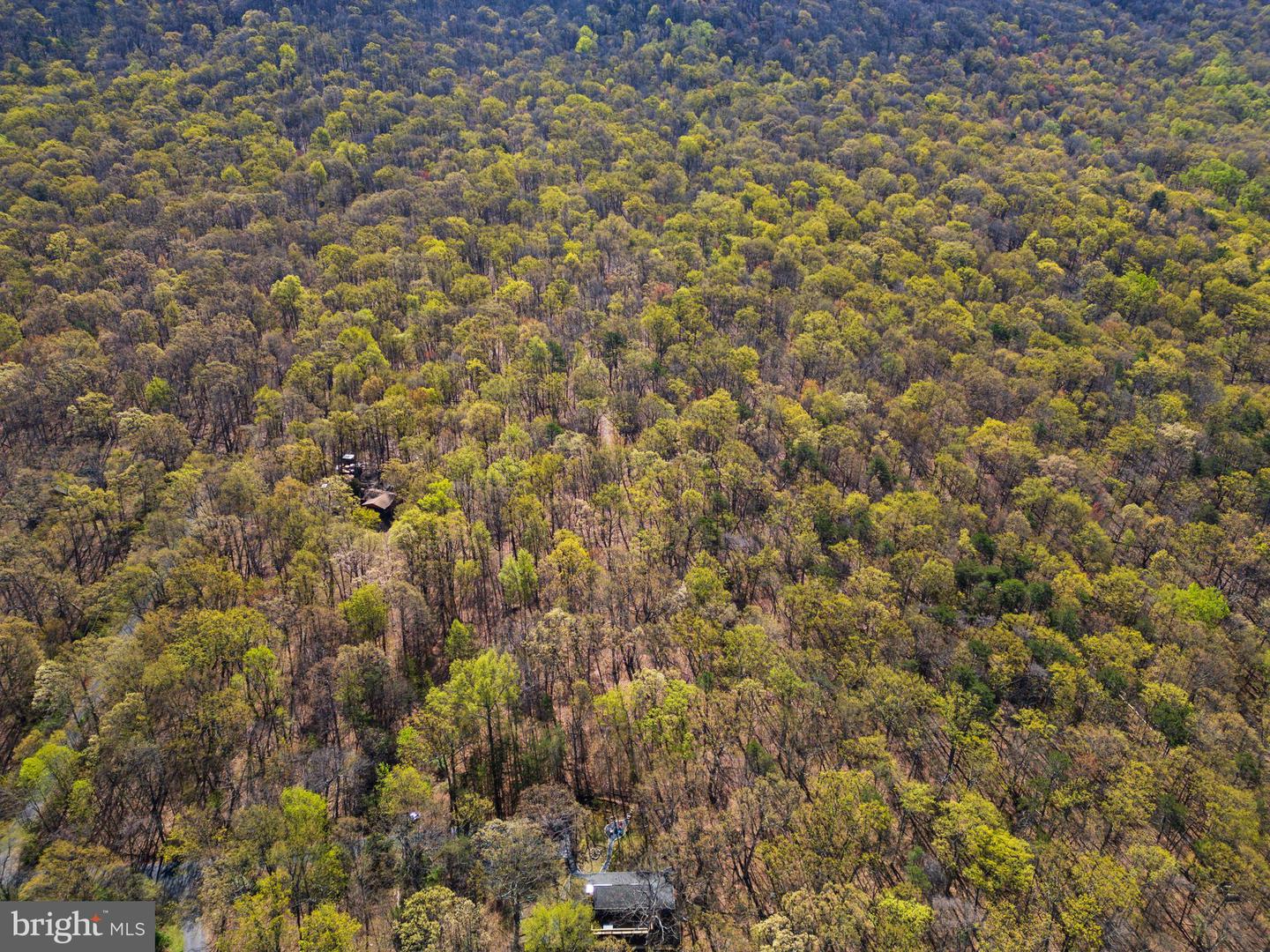 SHOTGUN SPRINGS, NEW MARKET, Virginia 22844, ,Land,For sale,SHOTGUN SPRINGS,VARO2002298 MLS # VARO2002298