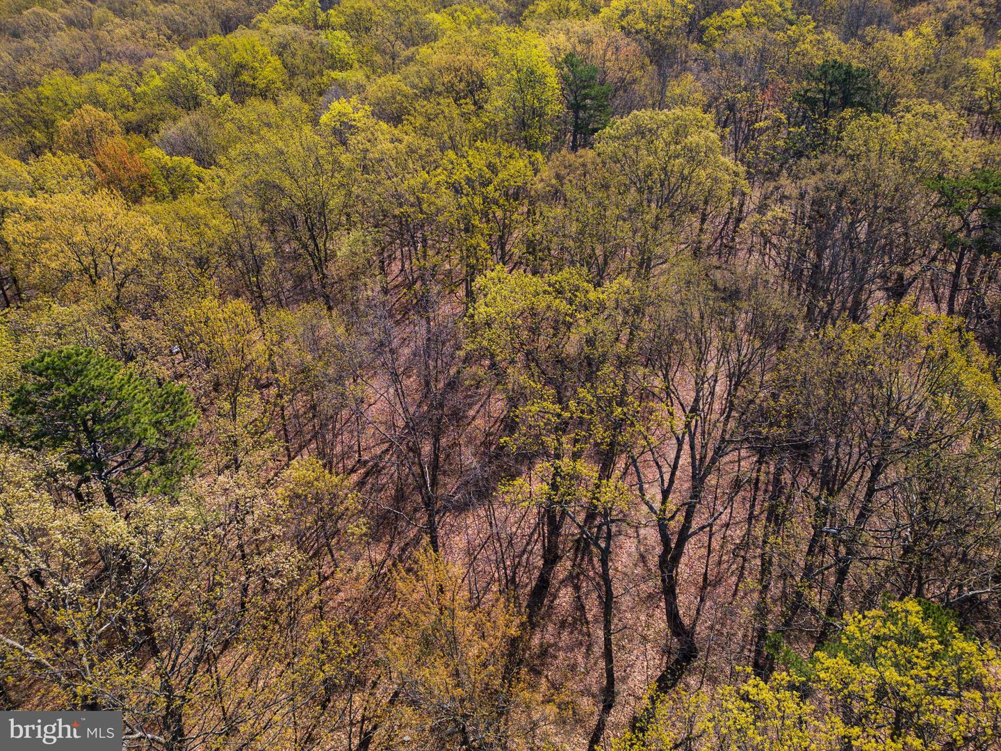 SHOTGUN SPRINGS, NEW MARKET, Virginia 22844, ,Land,For sale,SHOTGUN SPRINGS,VARO2002298 MLS # VARO2002298