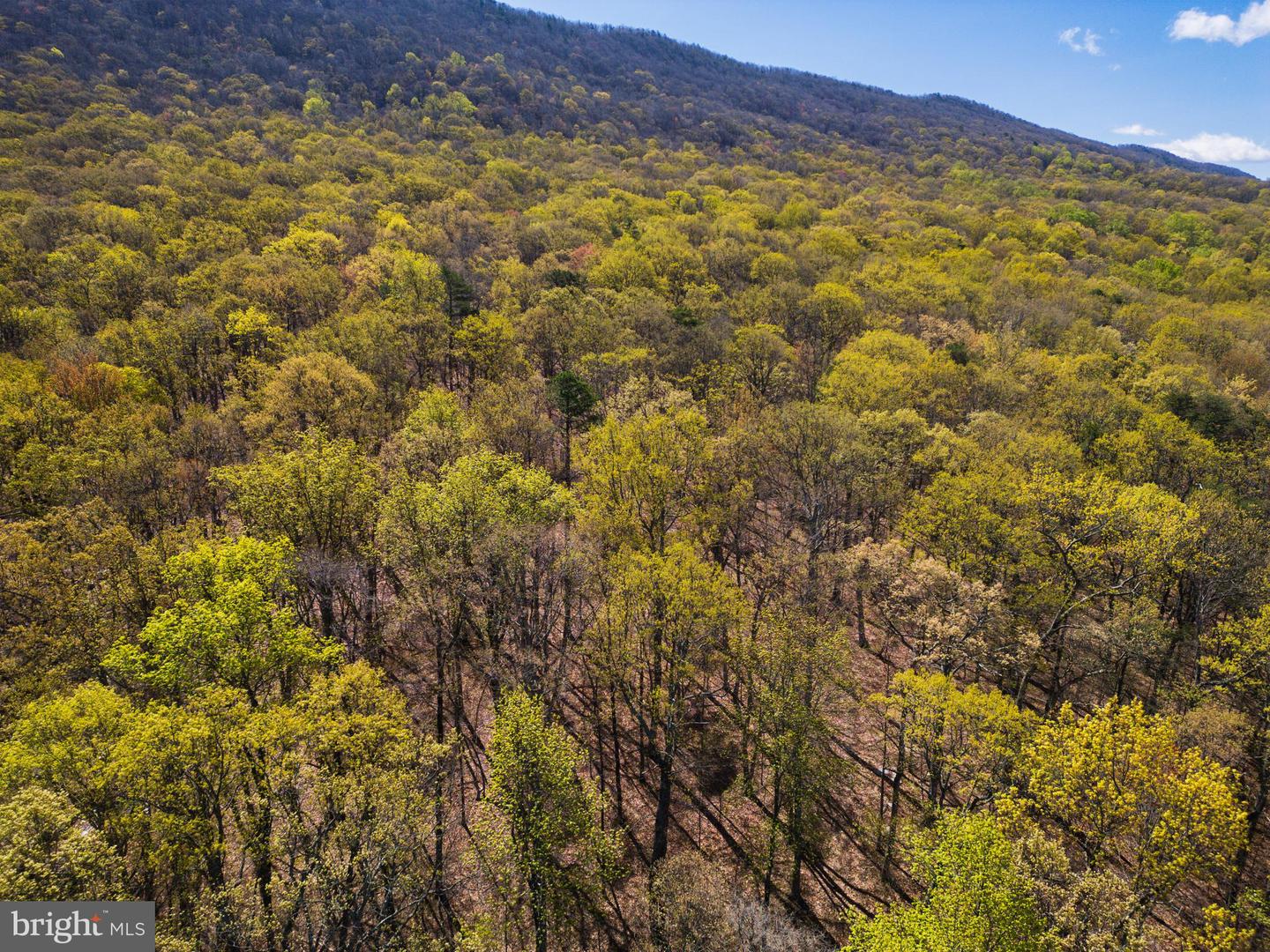 SHOTGUN SPRINGS, NEW MARKET, Virginia 22844, ,Land,For sale,SHOTGUN SPRINGS,VARO2002298 MLS # VARO2002298