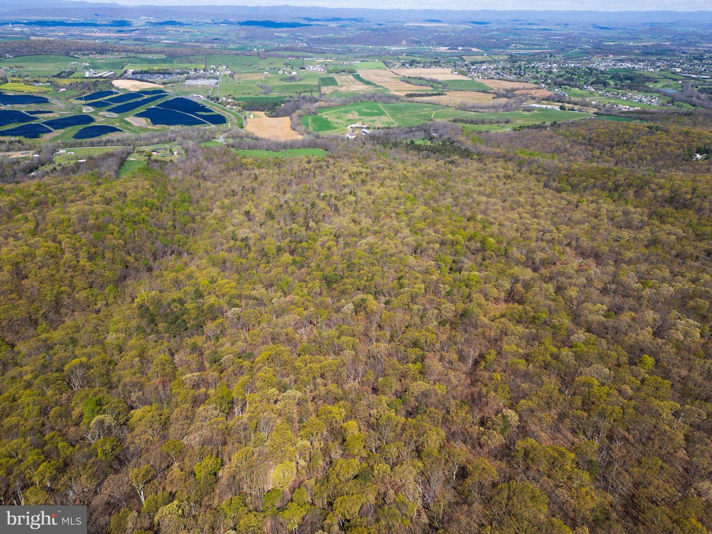 SHOTGUN SPRINGS, NEW MARKET, Virginia 22844, ,Land,For sale,SHOTGUN SPRINGS,VARO2002298 MLS # VARO2002298