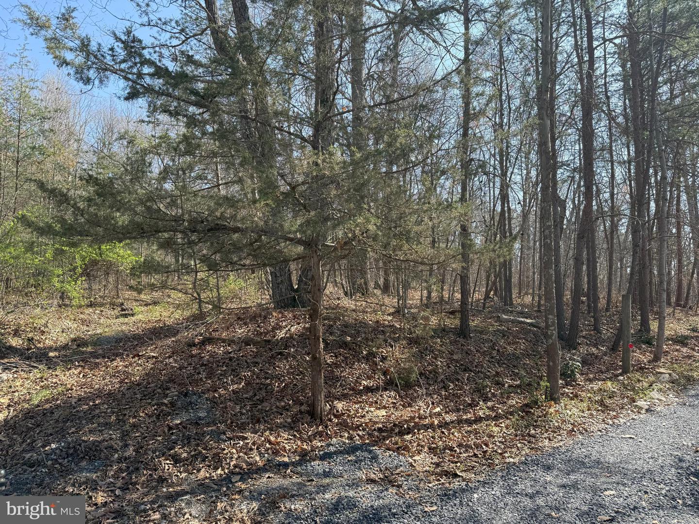 SHOTGUN SPRINGS, NEW MARKET, Virginia 22844, ,Land,For sale,SHOTGUN SPRINGS,VARO2002298 MLS # VARO2002298