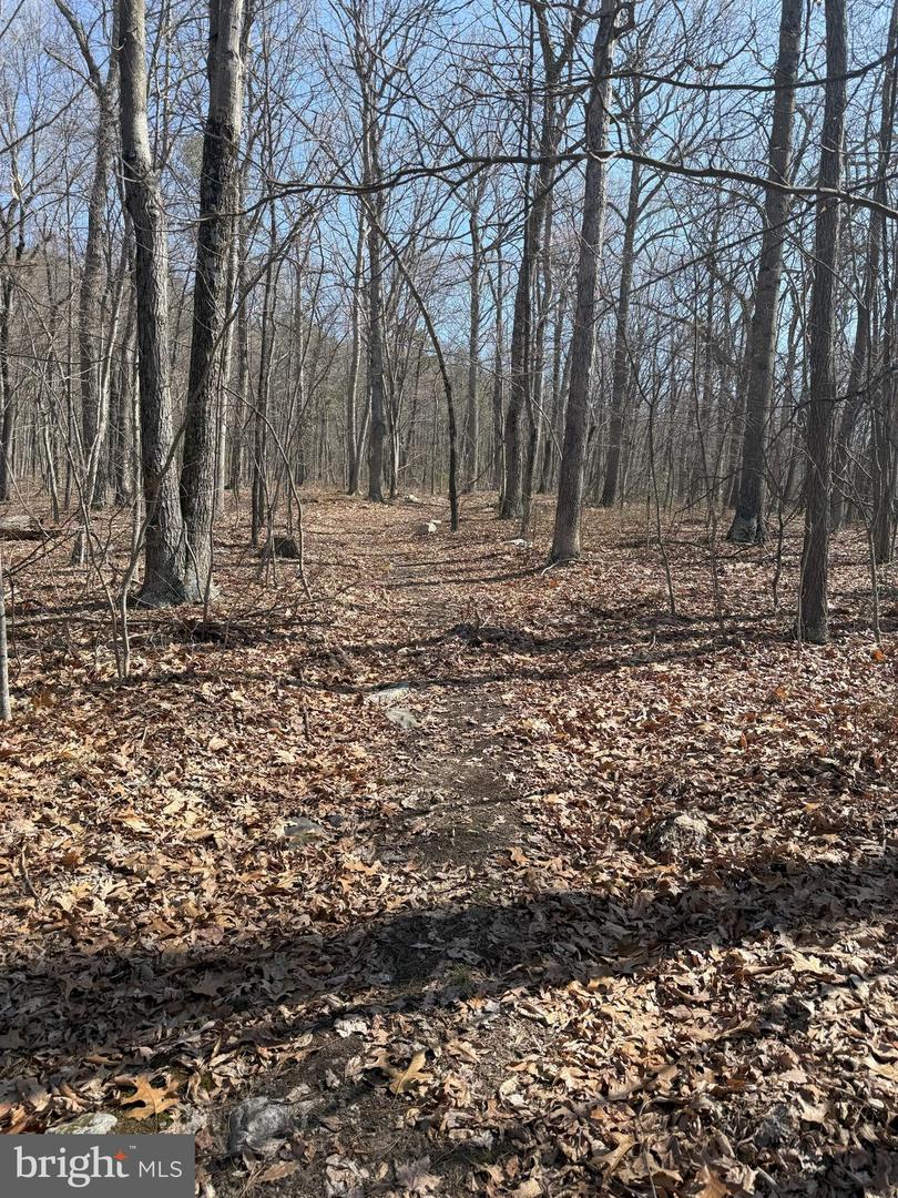 SHOTGUN SPRINGS, NEW MARKET, Virginia 22844, ,Land,For sale,SHOTGUN SPRINGS,VARO2002298 MLS # VARO2002298