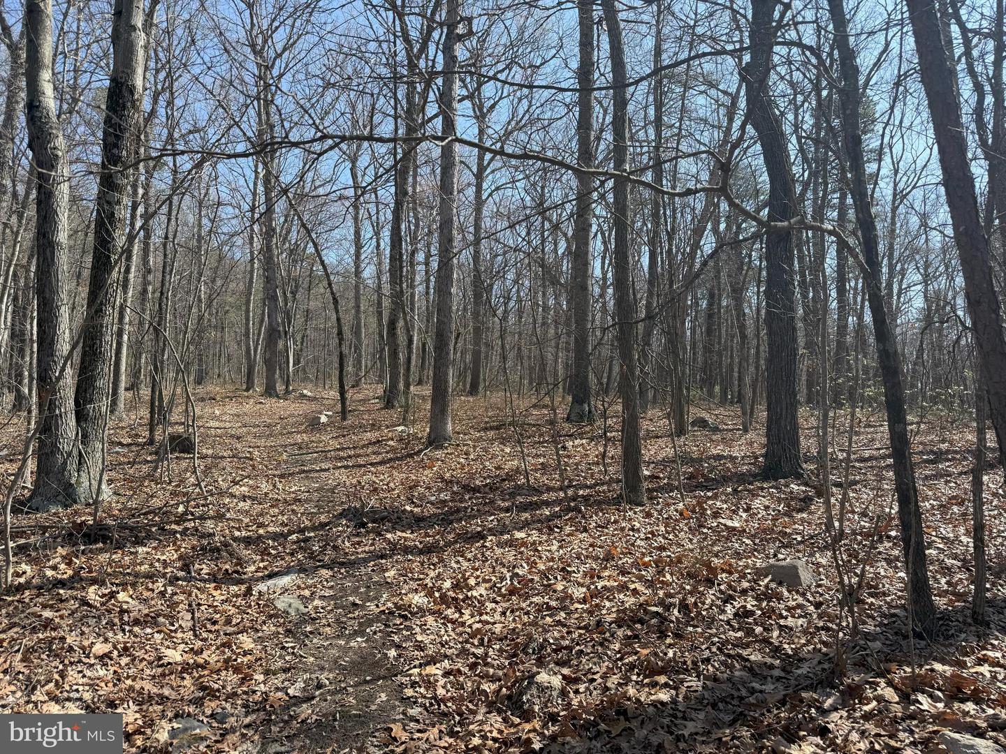 SHOTGUN SPRINGS, NEW MARKET, Virginia 22844, ,Land,For sale,SHOTGUN SPRINGS,VARO2002298 MLS # VARO2002298