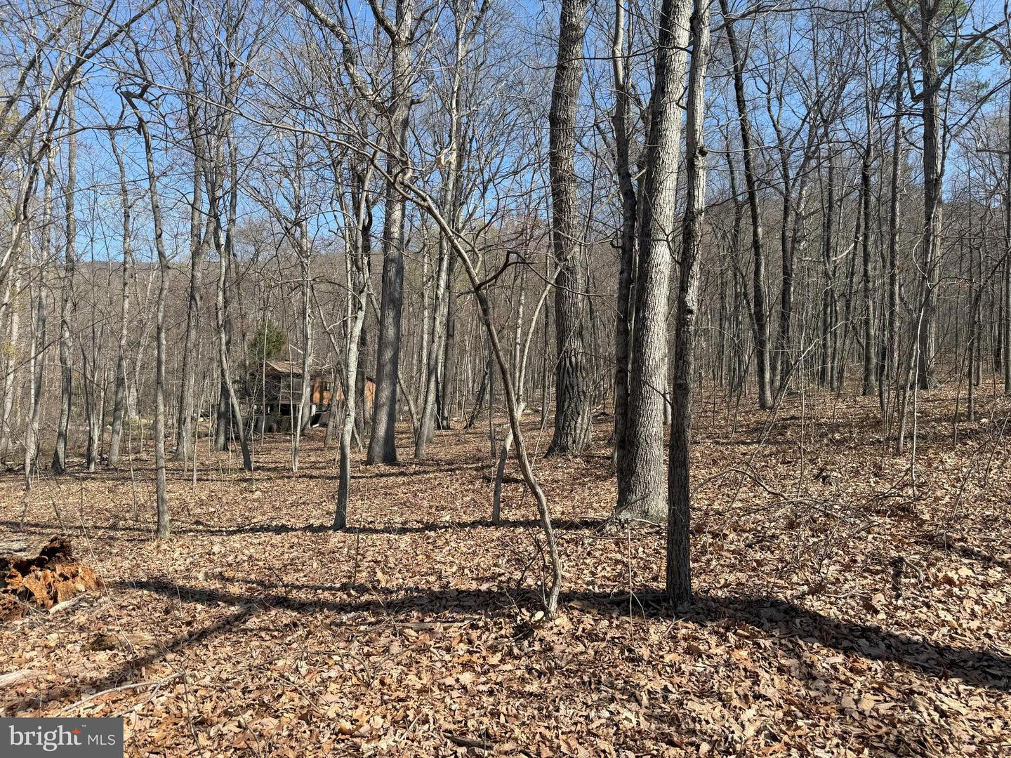 SHOTGUN SPRINGS, NEW MARKET, Virginia 22844, ,Land,For sale,SHOTGUN SPRINGS,VARO2002298 MLS # VARO2002298