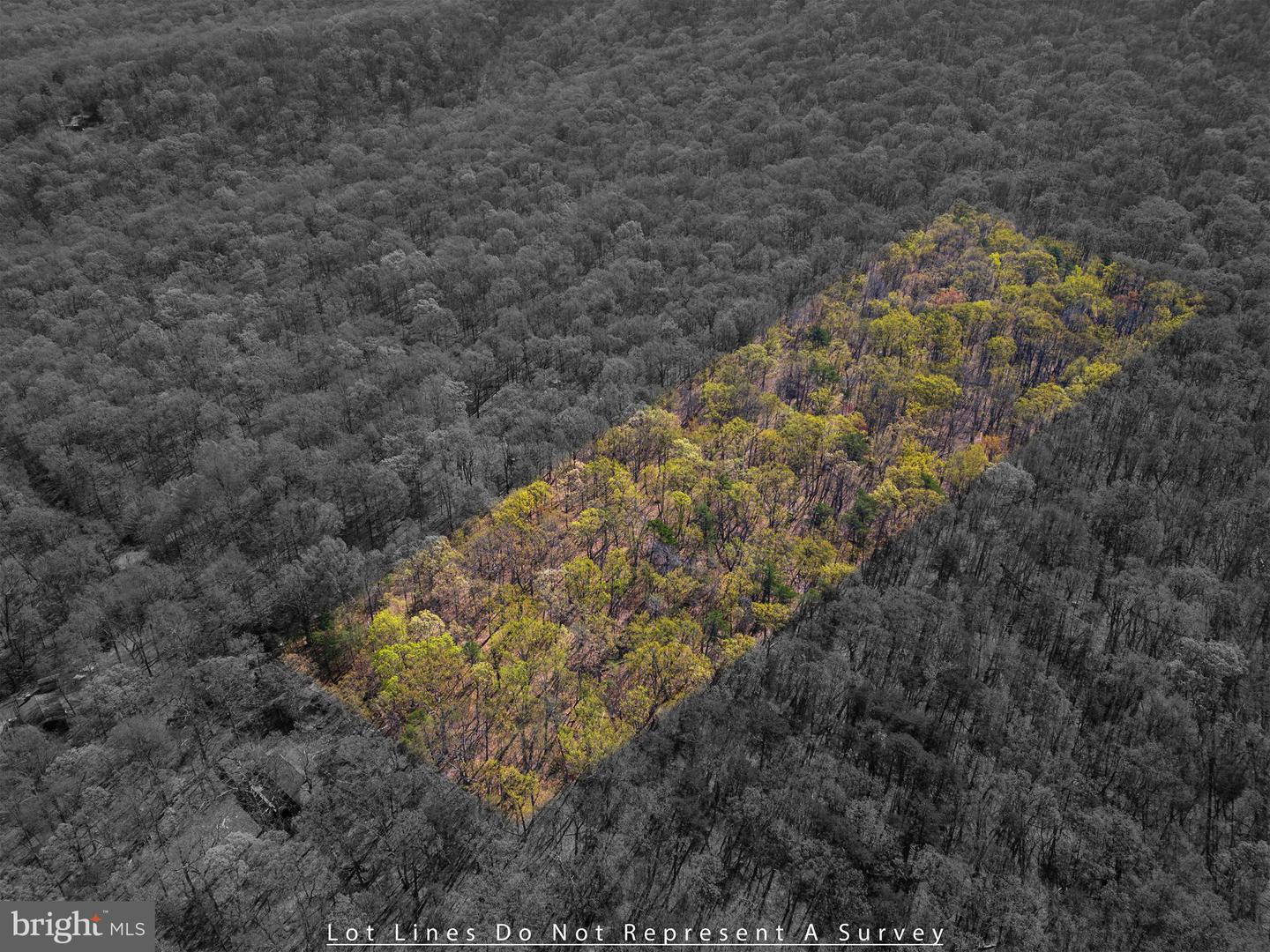 SHOTGUN SPRINGS, NEW MARKET, Virginia 22844, ,Land,For sale,SHOTGUN SPRINGS,VARO2002298 MLS # VARO2002298