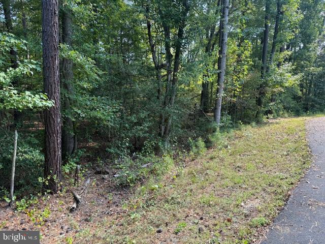 6 STAFFORD CV, RUTHER GLEN, Virginia 22546, ,Land,For sale,6 STAFFORD CV,VACV2008832 MLS # VACV2008832