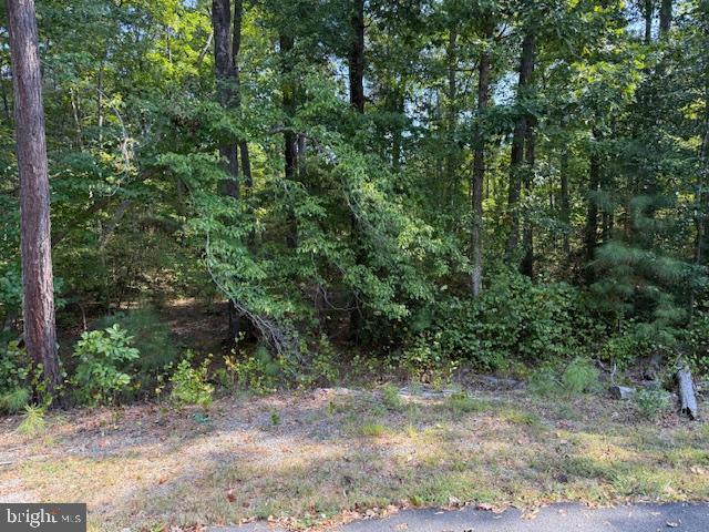 6 STAFFORD CV, RUTHER GLEN, Virginia 22546, ,Land,For sale,6 STAFFORD CV,VACV2008832 MLS # VACV2008832