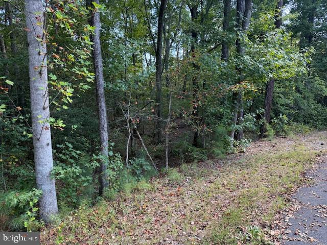 6 STAFFORD CV, RUTHER GLEN, Virginia 22546, ,Land,For sale,6 STAFFORD CV,VACV2008832 MLS # VACV2008832
