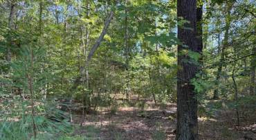 6 STAFFORD CV, RUTHER GLEN, Virginia 22546, ,Land,For sale,6 STAFFORD CV,VACV2008832 MLS # VACV2008832