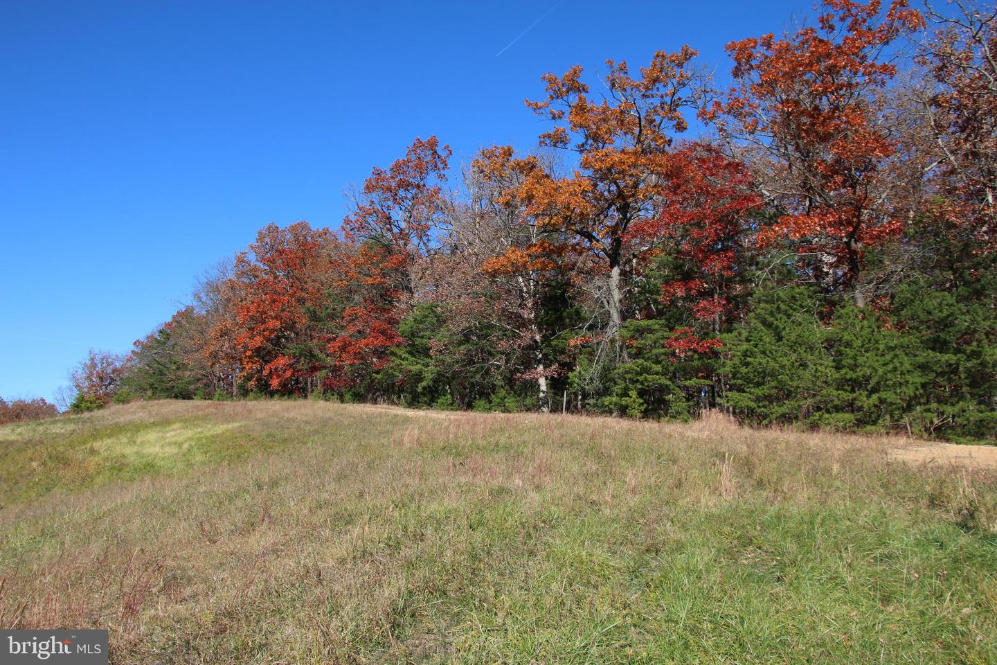 FRONT ROYAL RD, STRASBURG, Virginia 22657, ,Land,For sale,FRONT ROYAL RD,VASH2012554 MLS # VASH2012554