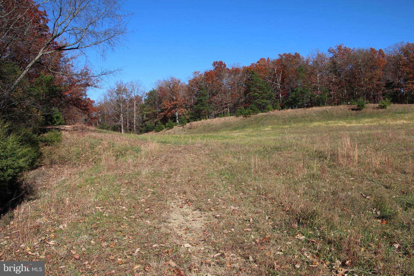 FRONT ROYAL RD, STRASBURG, Virginia 22657, ,Land,For sale,FRONT ROYAL RD,VASH2012554 MLS # VASH2012554