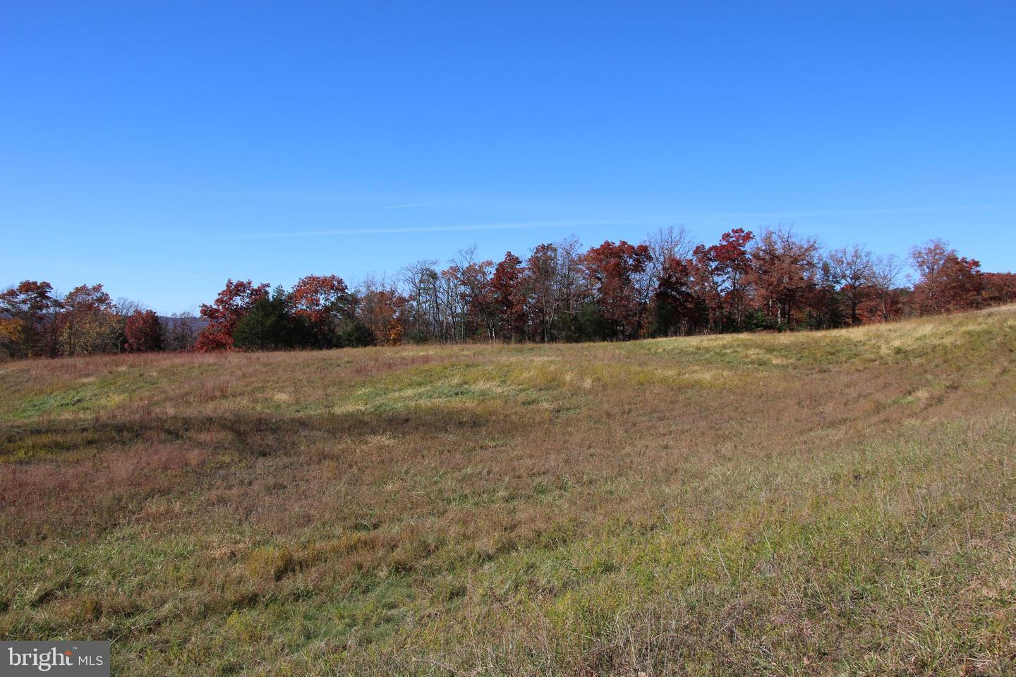 FRONT ROYAL RD, STRASBURG, Virginia 22657, ,Land,For sale,FRONT ROYAL RD,VASH2012554 MLS # VASH2012554
