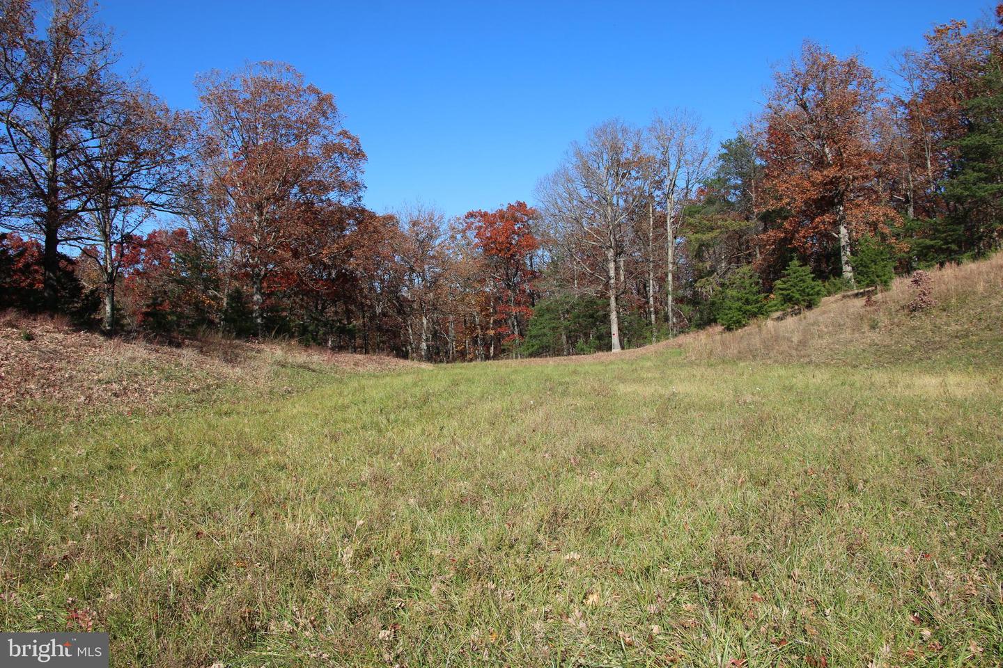 FRONT ROYAL RD, STRASBURG, Virginia 22657, ,Land,For sale,FRONT ROYAL RD,VASH2012554 MLS # VASH2012554