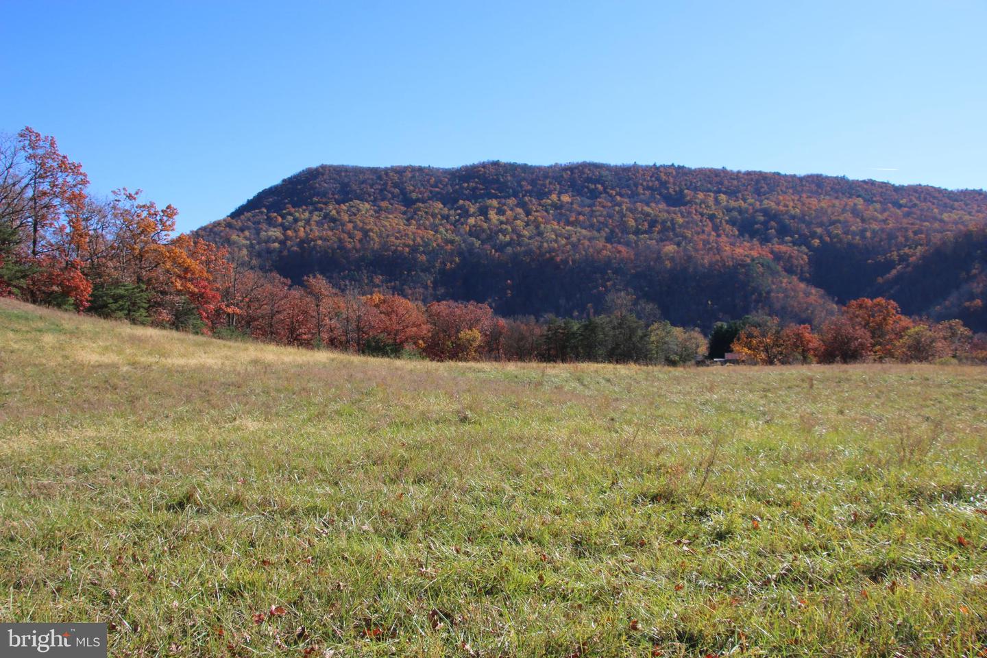 FRONT ROYAL RD, STRASBURG, Virginia 22657, ,Land,For sale,FRONT ROYAL RD,VASH2012554 MLS # VASH2012554