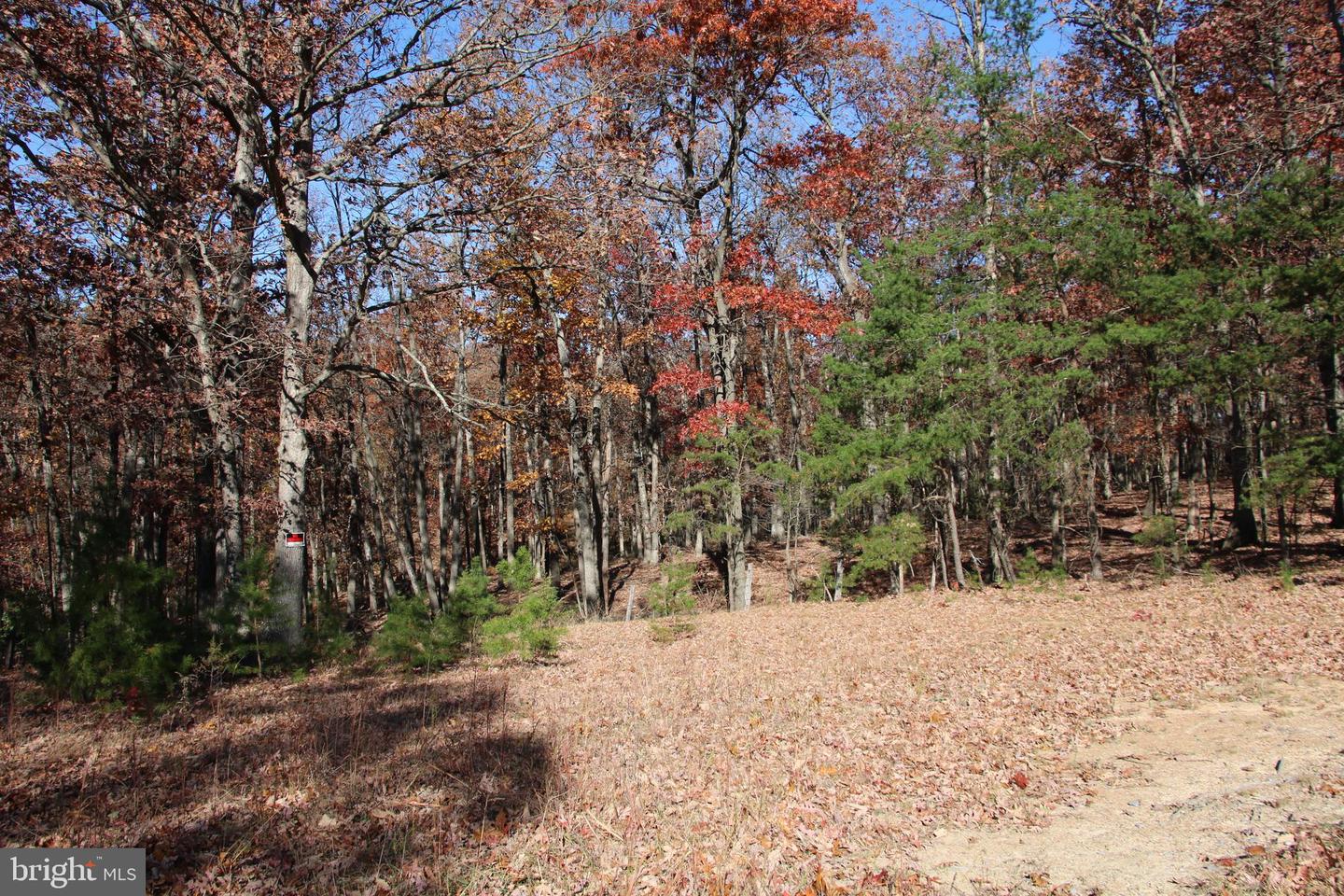 FRONT ROYAL RD, STRASBURG, Virginia 22657, ,Land,For sale,FRONT ROYAL RD,VASH2012554 MLS # VASH2012554