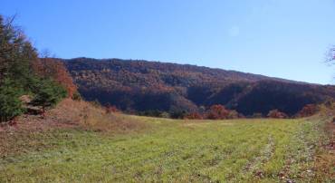 FRONT ROYAL RD, STRASBURG, Virginia 22657, ,Land,For sale,FRONT ROYAL RD,VASH2012554 MLS # VASH2012554