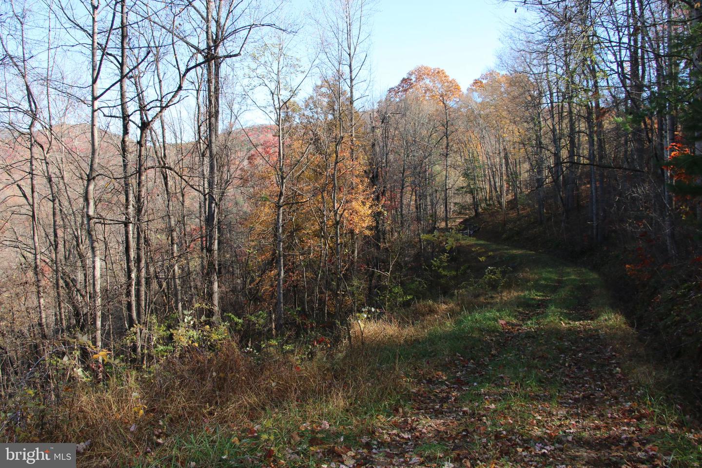 OVERLOOK MOUNTAIN RD, ELKTON, Virginia 22827, ,Land,For sale,OVERLOOK MOUNTAIN RD,VAPA2005566 MLS # VAPA2005566 OVERLOOK MOUNTAIN RD, ELKTON, Virginia 22827, ,Land,For sale,OVERLOOK MOUNTAIN RD,VAPA2005566 MLS # VAPA2005566