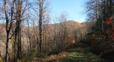 OVERLOOK MOUNTAIN RD, ELKTON, Virginia 22827, ,Land,For sale,OVERLOOK MOUNTAIN RD,VAPA2005566 MLS # VAPA2005566
