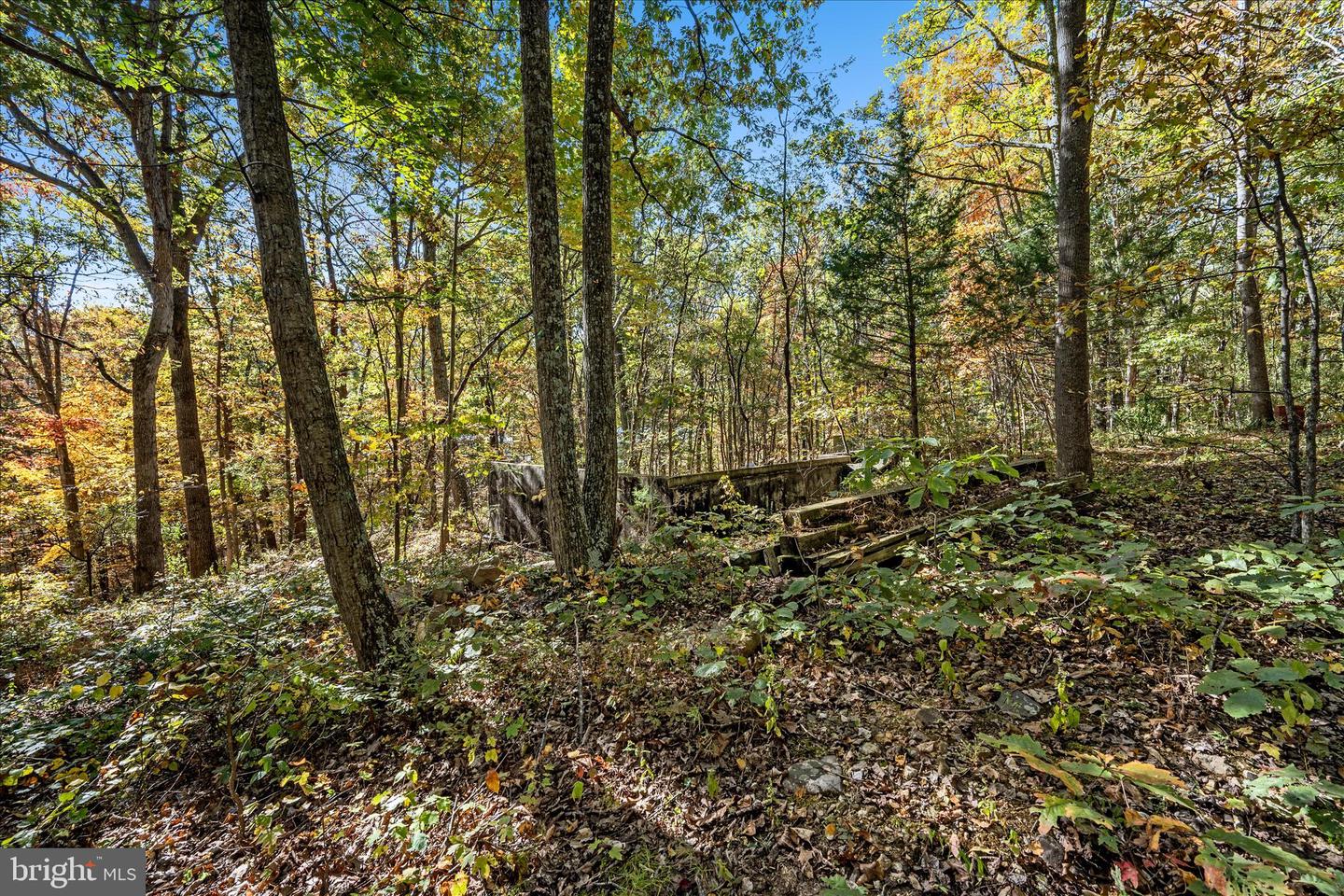 0 HEDRICK LN, WINCHESTER, Virginia 22602, ,Land,For sale,0 HEDRICK LN,VAFV2037912 MLS # VAFV2037912 0 HEDRICK LN, WINCHESTER, Virginia 22602, ,Land,For sale,0 HEDRICK LN,VAFV2037912 MLS # VAFV2037912