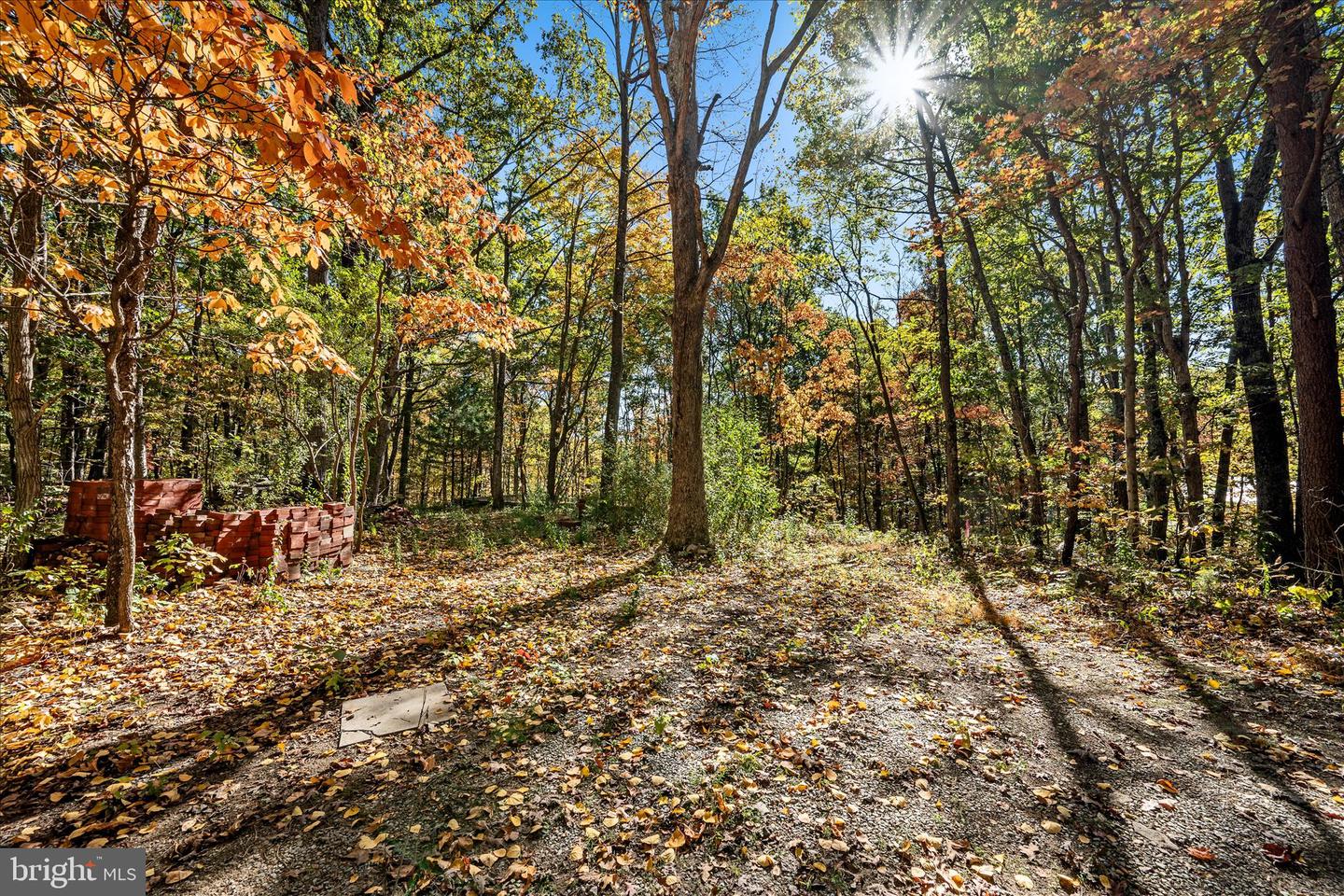 0 HEDRICK LN, WINCHESTER, Virginia 22602, ,Land,For sale,0 HEDRICK LN,VAFV2037912 MLS # VAFV2037912 0 HEDRICK LN, WINCHESTER, Virginia 22602, ,Land,For sale,0 HEDRICK LN,VAFV2037912 MLS # VAFV2037912