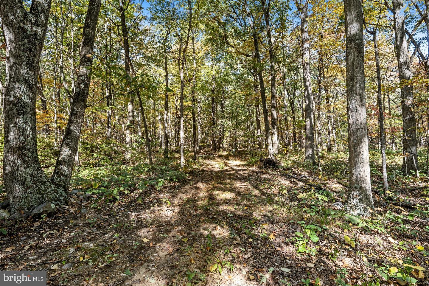 0 HEDRICK LN, WINCHESTER, Virginia 22602, ,Land,For sale,0 HEDRICK LN,VAFV2037912 MLS # VAFV2037912 0 HEDRICK LN, WINCHESTER, Virginia 22602, ,Land,For sale,0 HEDRICK LN,VAFV2037912 MLS # VAFV2037912