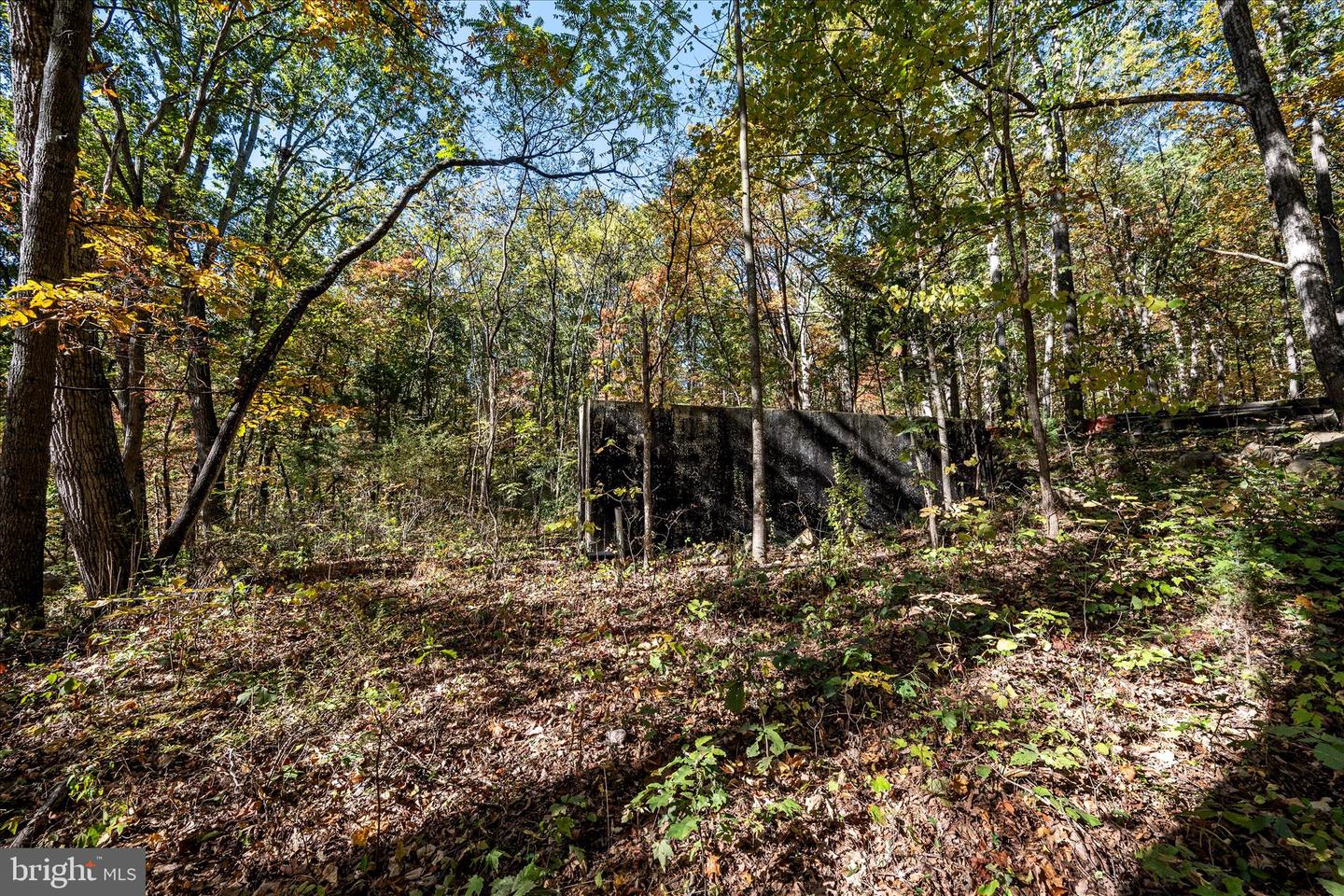 0 HEDRICK LN, WINCHESTER, Virginia 22602, ,Land,For sale,0 HEDRICK LN,VAFV2037912 MLS # VAFV2037912 0 HEDRICK LN, WINCHESTER, Virginia 22602, ,Land,For sale,0 HEDRICK LN,VAFV2037912 MLS # VAFV2037912