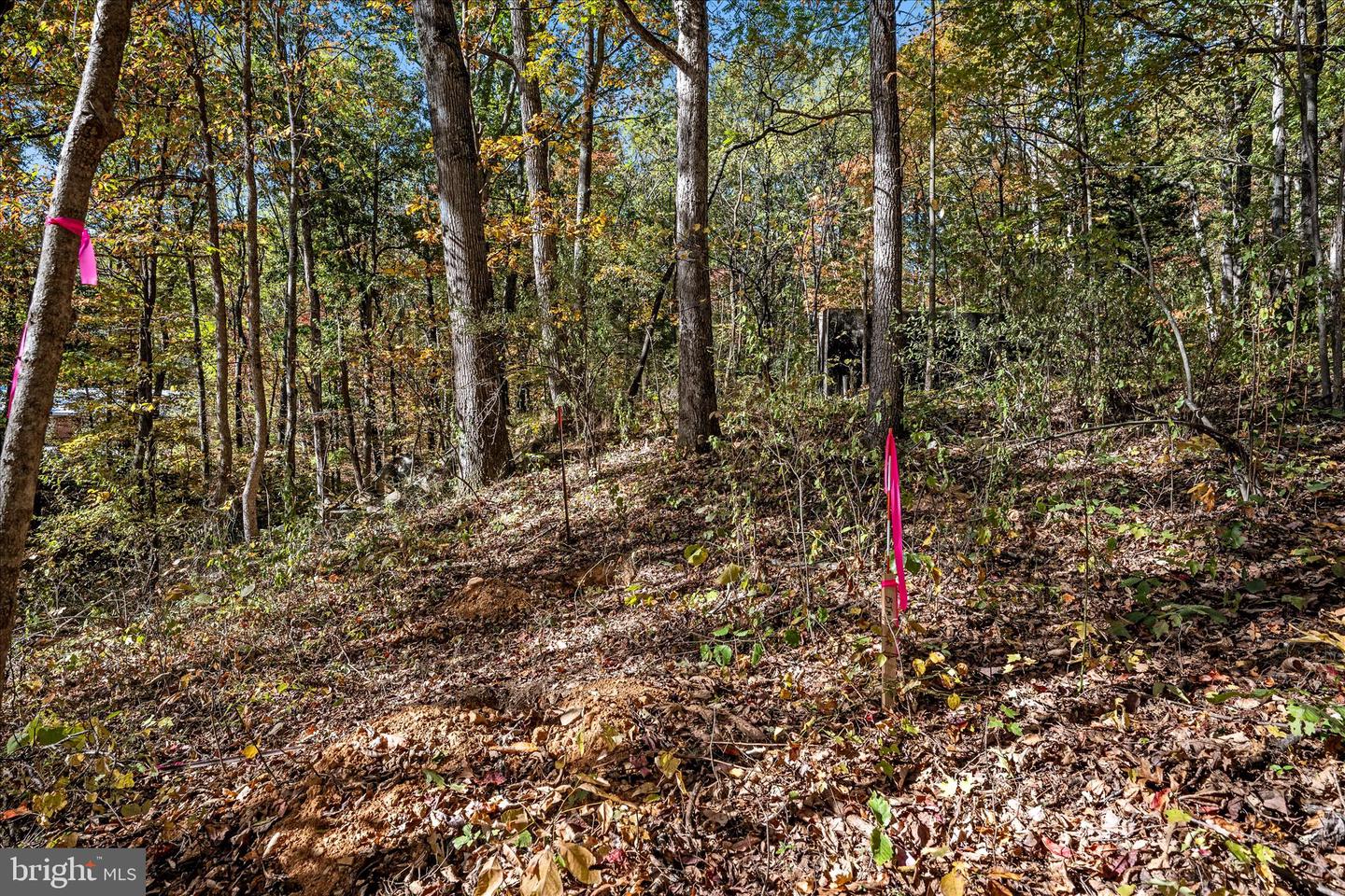 0 HEDRICK LN, WINCHESTER, Virginia 22602, ,Land,For sale,0 HEDRICK LN,VAFV2037912 MLS # VAFV2037912 0 HEDRICK LN, WINCHESTER, Virginia 22602, ,Land,For sale,0 HEDRICK LN,VAFV2037912 MLS # VAFV2037912