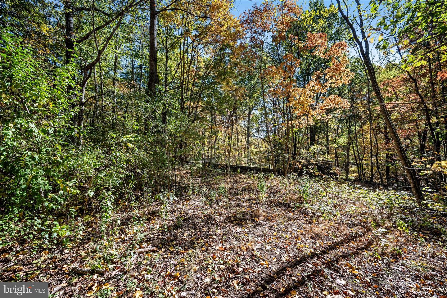 0 HEDRICK LN, WINCHESTER, Virginia 22602, ,Land,For sale,0 HEDRICK LN,VAFV2037912 MLS # VAFV2037912 0 HEDRICK LN, WINCHESTER, Virginia 22602, ,Land,For sale,0 HEDRICK LN,VAFV2037912 MLS # VAFV2037912