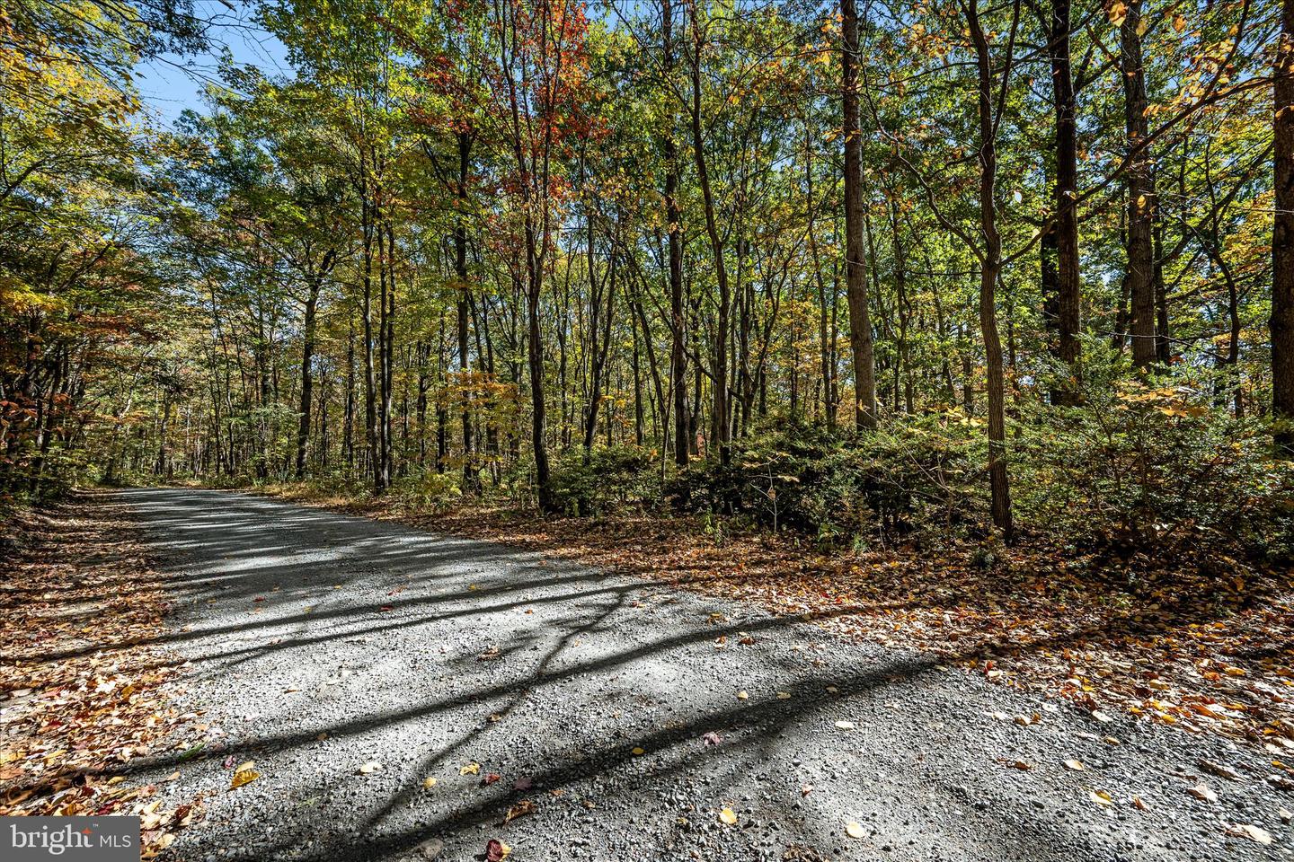 0 HEDRICK LN, WINCHESTER, Virginia 22602, ,Land,For sale,0 HEDRICK LN,VAFV2037912 MLS # VAFV2037912 0 HEDRICK LN, WINCHESTER, Virginia 22602, ,Land,For sale,0 HEDRICK LN,VAFV2037912 MLS # VAFV2037912