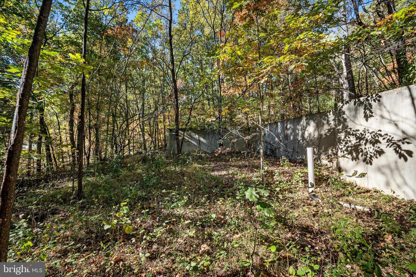 0 HEDRICK LN, WINCHESTER, Virginia 22602, ,Land,For sale,0 HEDRICK LN,VAFV2037912 MLS # VAFV2037912 0 HEDRICK LN, WINCHESTER, Virginia 22602, ,Land,For sale,0 HEDRICK LN,VAFV2037912 MLS # VAFV2037912