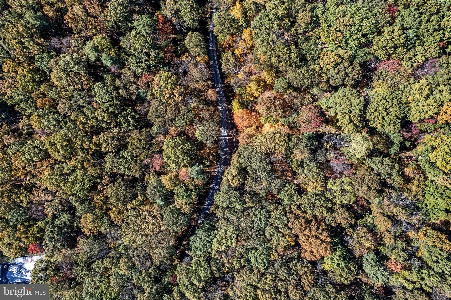 0 HEDRICK LN, WINCHESTER, Virginia 22602, ,Land,For sale,0 HEDRICK LN,VAFV2037912 MLS # VAFV2037912 0 HEDRICK LN, WINCHESTER, Virginia 22602, ,Land,For sale,0 HEDRICK LN,VAFV2037912 MLS # VAFV2037912