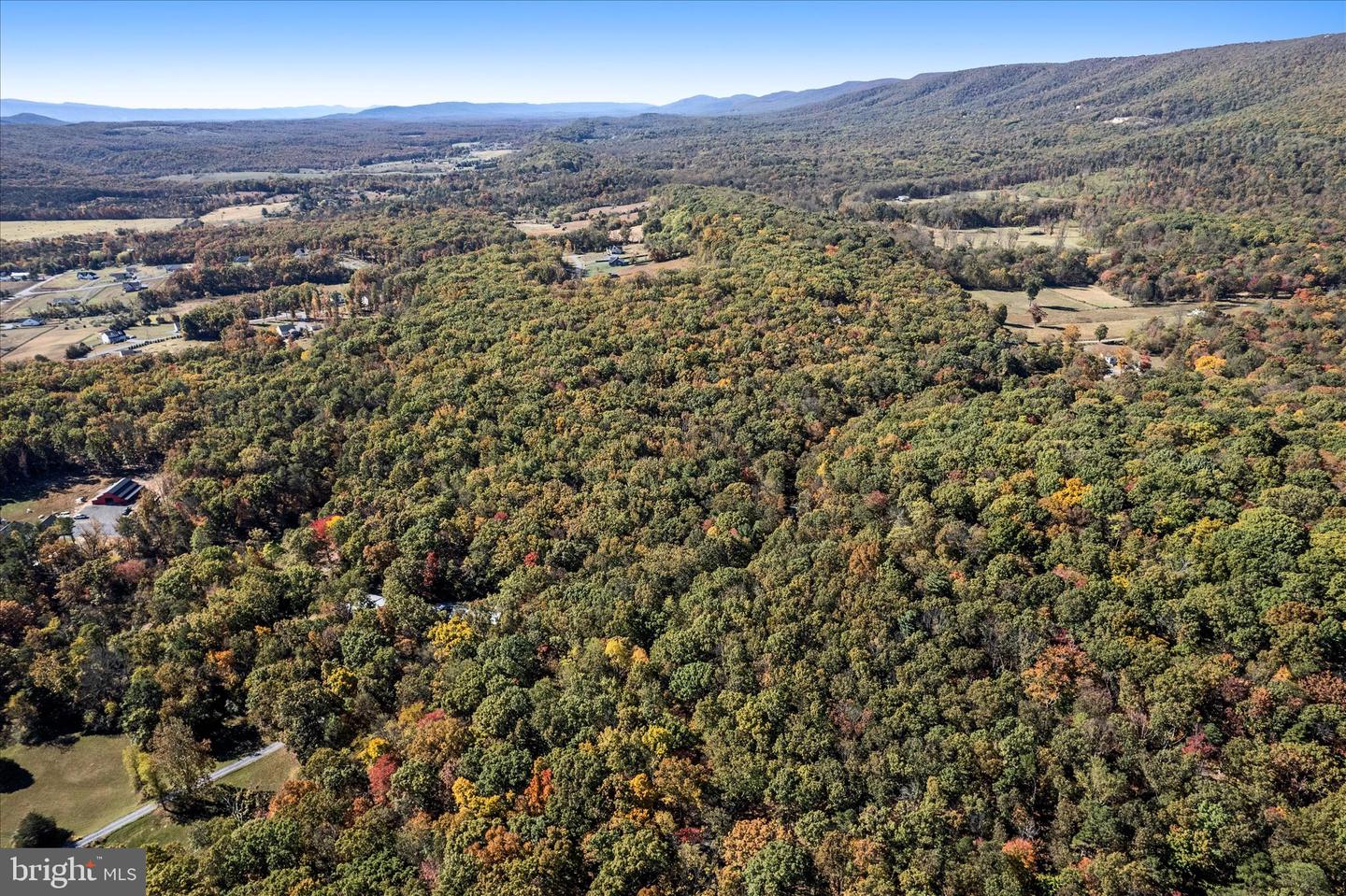 0 HEDRICK LN, WINCHESTER, Virginia 22602, ,Land,For sale,0 HEDRICK LN,VAFV2037912 MLS # VAFV2037912 0 HEDRICK LN, WINCHESTER, Virginia 22602, ,Land,For sale,0 HEDRICK LN,VAFV2037912 MLS # VAFV2037912