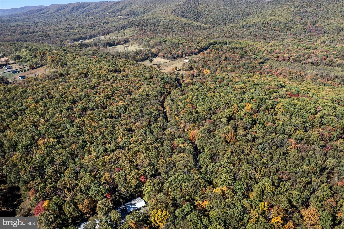 0 HEDRICK LN, WINCHESTER, Virginia 22602, ,Land,For sale,0 HEDRICK LN,VAFV2037912 MLS # VAFV2037912 0 HEDRICK LN, WINCHESTER, Virginia 22602, ,Land,For sale,0 HEDRICK LN,VAFV2037912 MLS # VAFV2037912