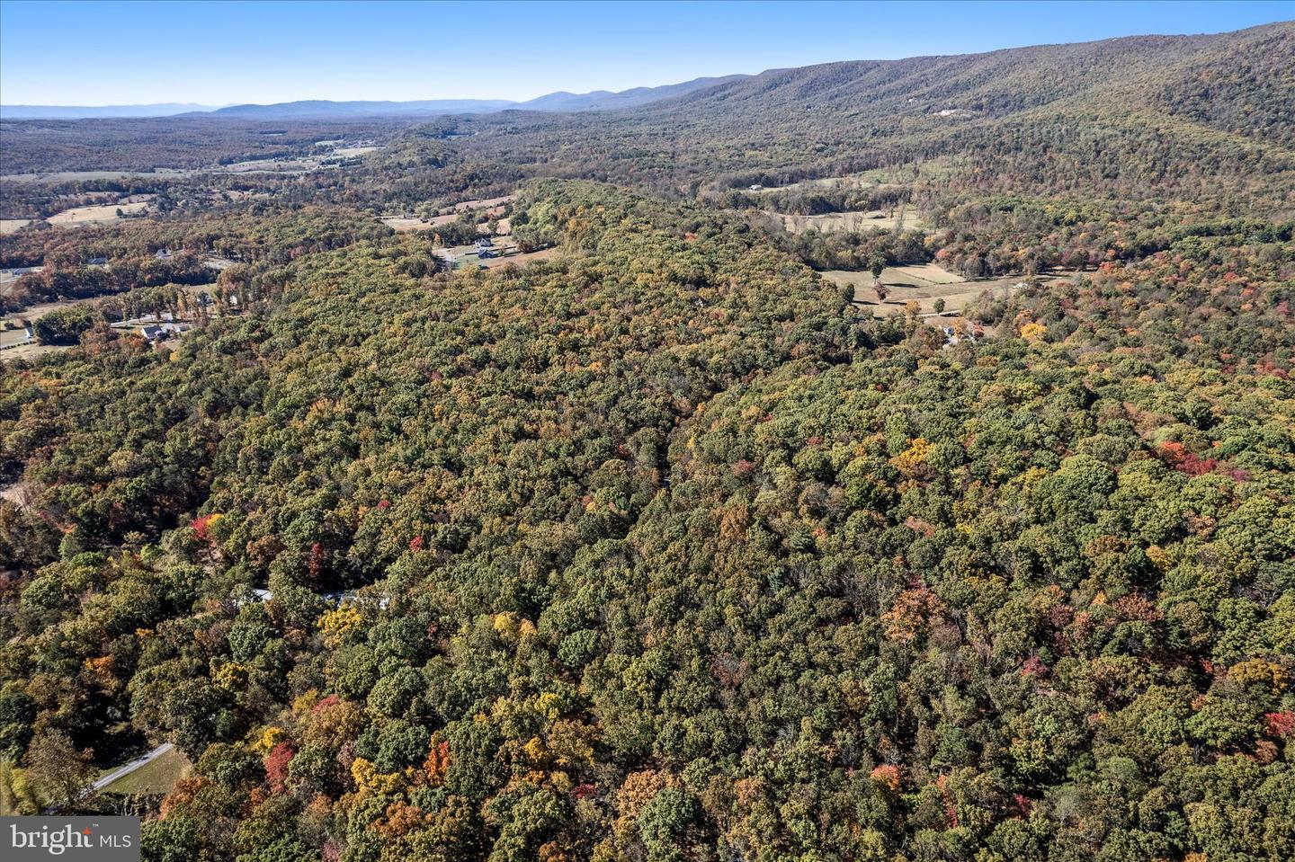 0 HEDRICK LN, WINCHESTER, Virginia 22602, ,Land,For sale,0 HEDRICK LN,VAFV2037912 MLS # VAFV2037912 0 HEDRICK LN, WINCHESTER, Virginia 22602, ,Land,For sale,0 HEDRICK LN,VAFV2037912 MLS # VAFV2037912