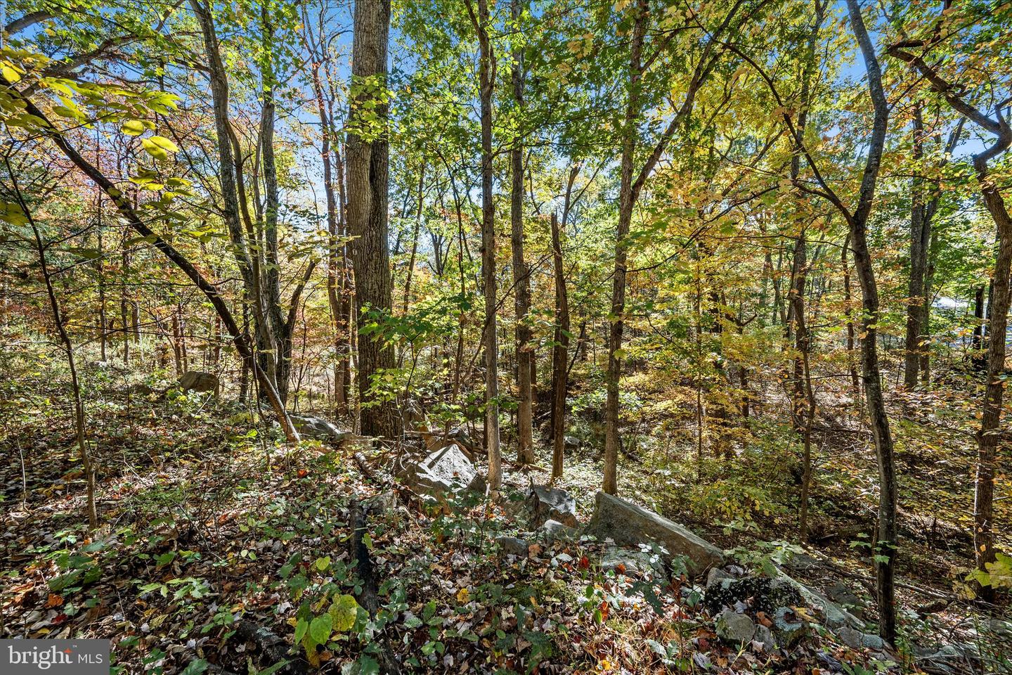 0 HEDRICK LN, WINCHESTER, Virginia 22602, ,Land,For sale,0 HEDRICK LN,VAFV2037912 MLS # VAFV2037912