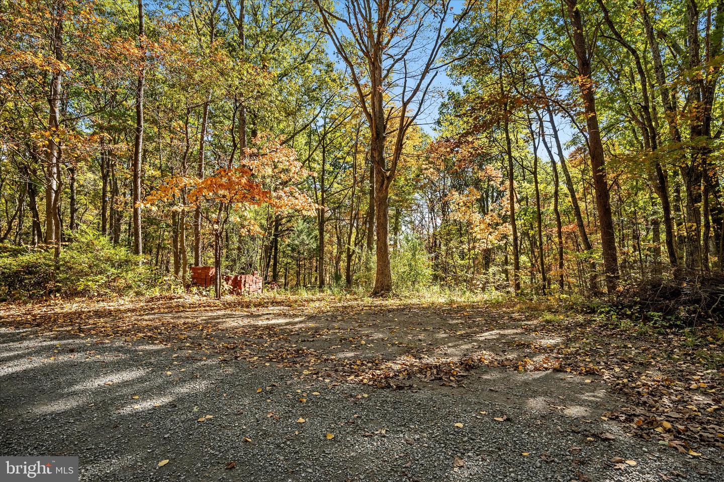 0 HEDRICK LN, WINCHESTER, Virginia 22602, ,Land,For sale,0 HEDRICK LN,VAFV2037912 MLS # VAFV2037912 0 HEDRICK LN, WINCHESTER, Virginia 22602, ,Land,For sale,0 HEDRICK LN,VAFV2037912 MLS # VAFV2037912