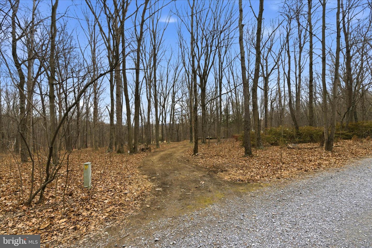 0 HEDRICK LN, WINCHESTER, Virginia 22602, ,Land,For sale,0 HEDRICK LN,VAFV2037912 MLS # VAFV2037912