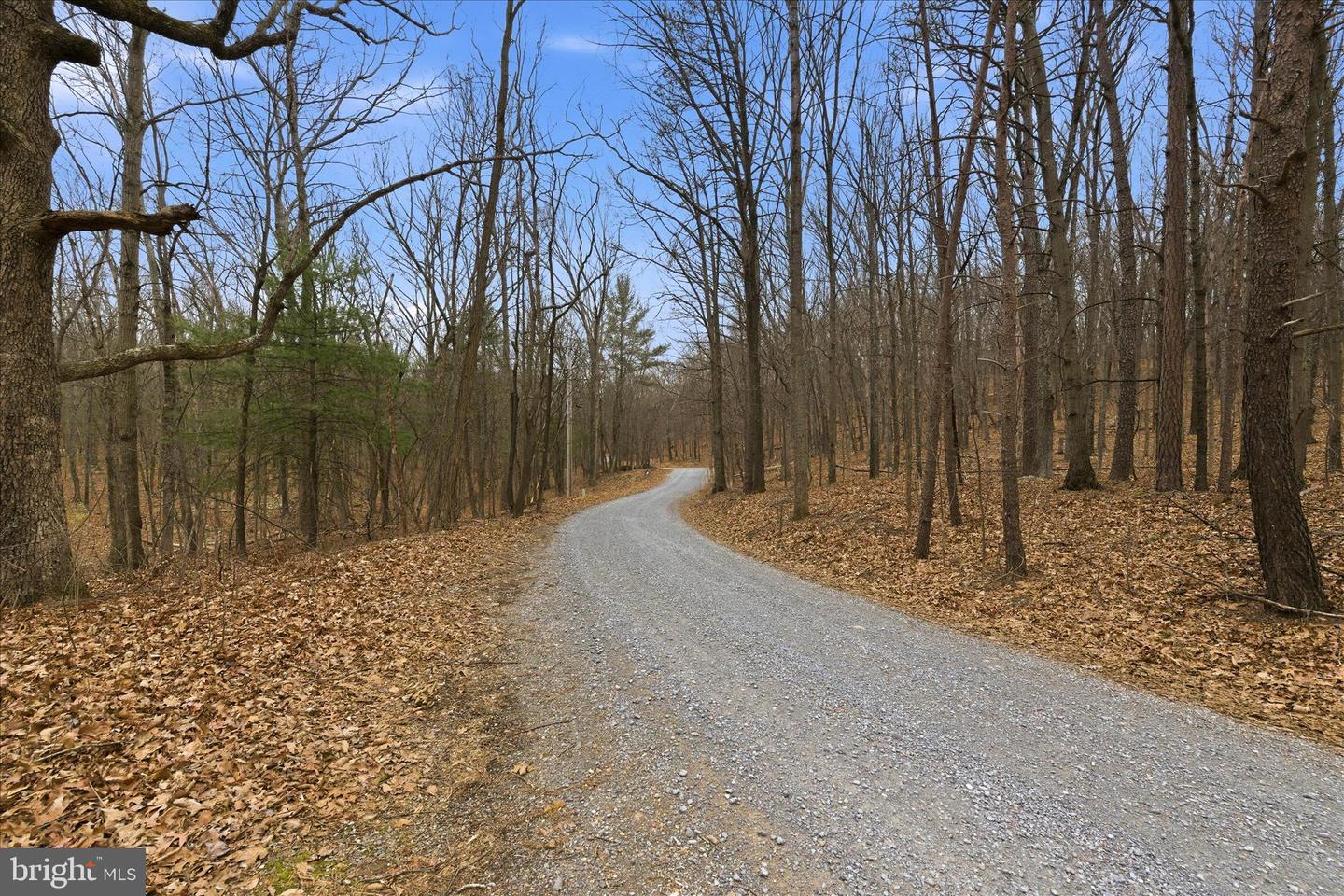 0 HEDRICK LN, WINCHESTER, Virginia 22602, ,Land,For sale,0 HEDRICK LN,VAFV2037912 MLS # VAFV2037912