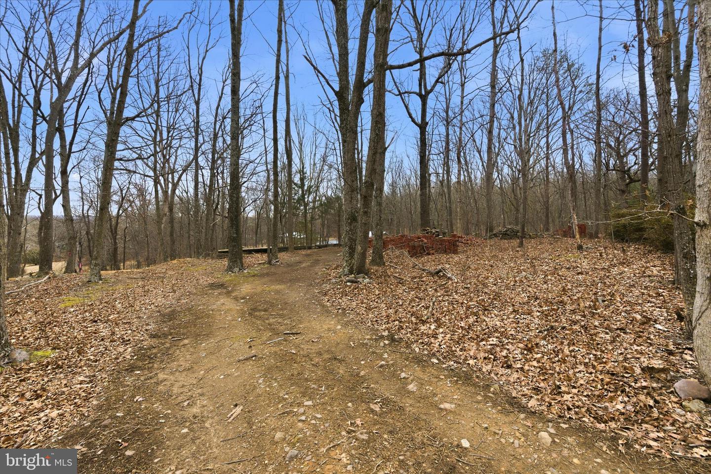 0 HEDRICK LN, WINCHESTER, Virginia 22602, ,Land,For sale,0 HEDRICK LN,VAFV2037912 MLS # VAFV2037912