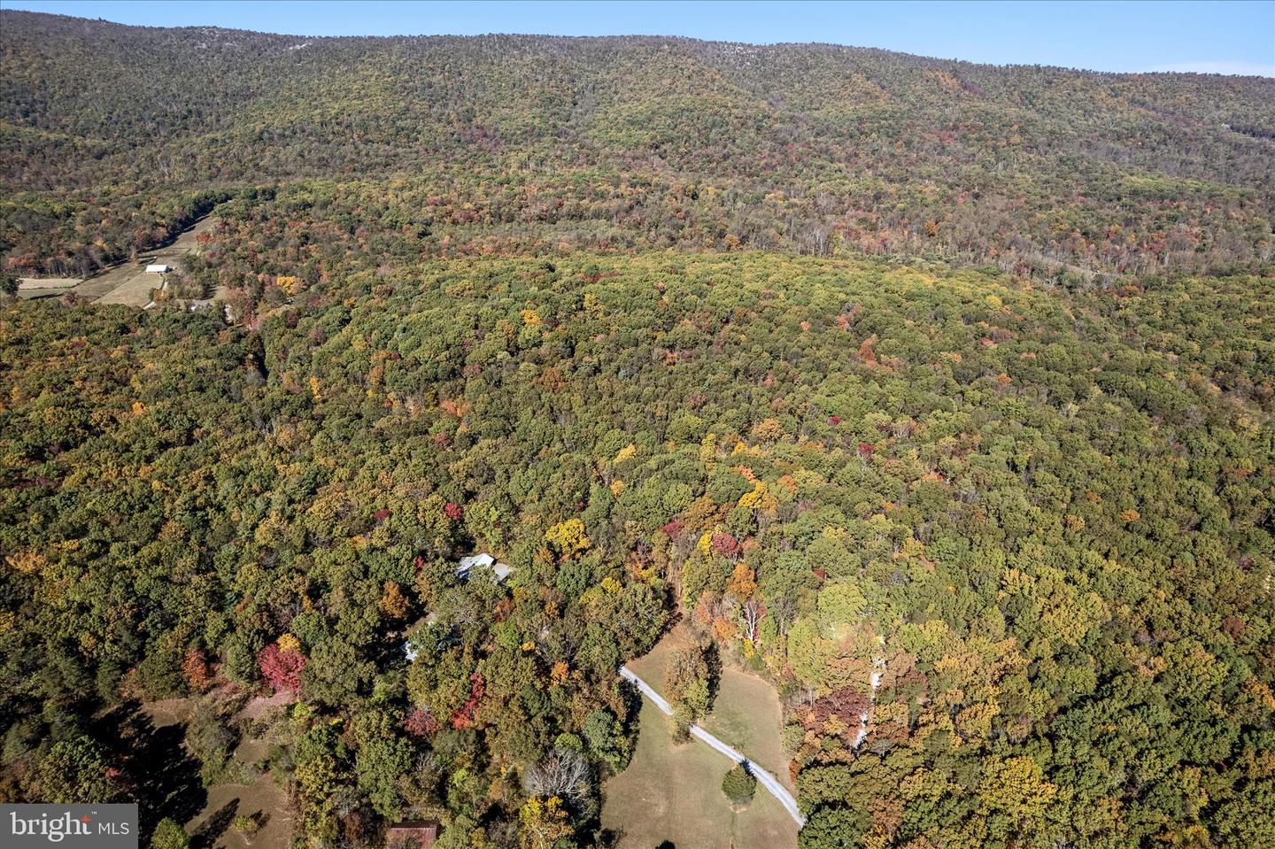 0 HEDRICK LN, WINCHESTER, Virginia 22602, ,Land,For sale,0 HEDRICK LN,VAFV2037912 MLS # VAFV2037912