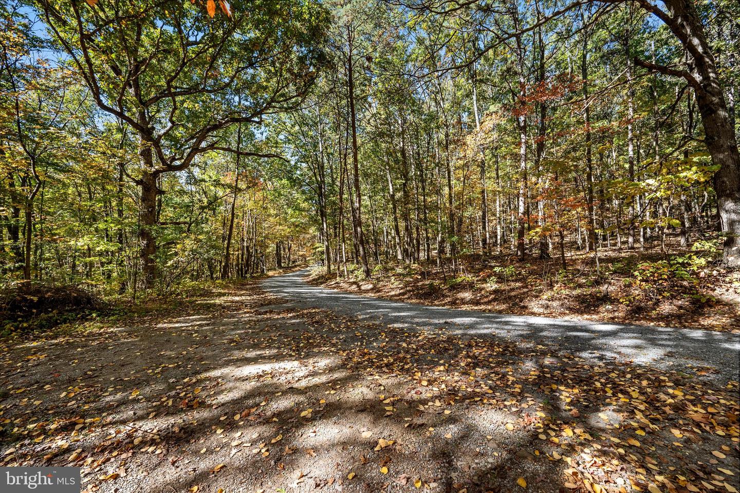 0 HEDRICK LN, WINCHESTER, Virginia 22602, ,Land,For sale,0 HEDRICK LN,VAFV2037912 MLS # VAFV2037912 0 HEDRICK LN, WINCHESTER, Virginia 22602, ,Land,For sale,0 HEDRICK LN,VAFV2037912 MLS # VAFV2037912