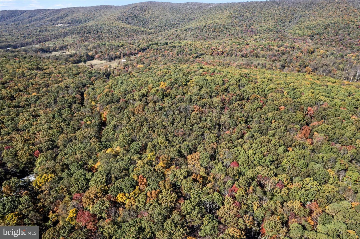 0 HEDRICK LN, WINCHESTER, Virginia 22602, ,Land,For sale,0 HEDRICK LN,VAFV2037912 MLS # VAFV2037912