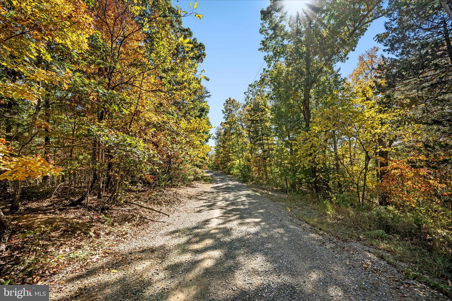 0 HEDRICK LN, WINCHESTER, Virginia 22602, ,Land,For sale,0 HEDRICK LN,VAFV2037912 MLS # VAFV2037912 0 HEDRICK LN, WINCHESTER, Virginia 22602, ,Land,For sale,0 HEDRICK LN,VAFV2037912 MLS # VAFV2037912