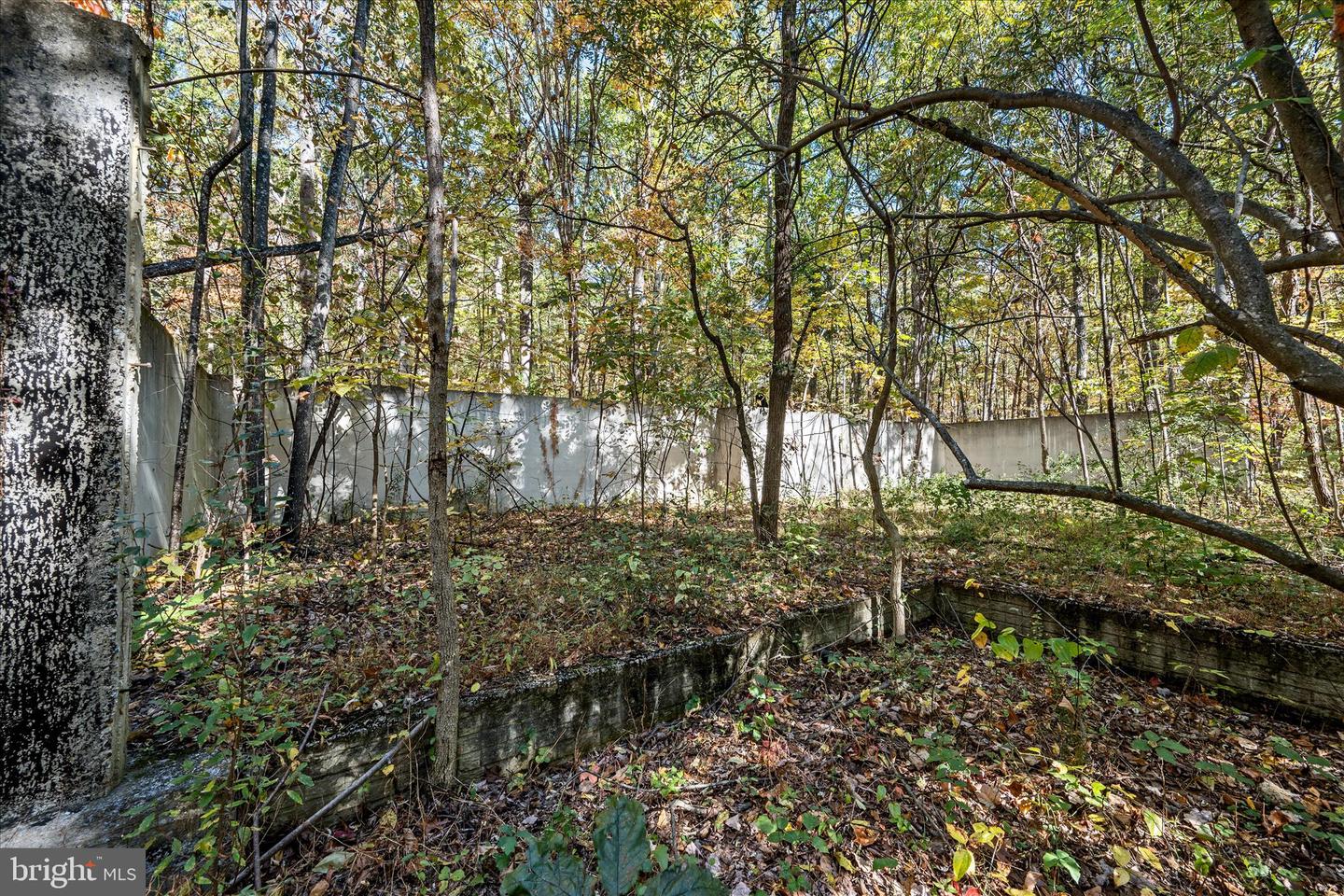 0 HEDRICK LN, WINCHESTER, Virginia 22602, ,Land,For sale,0 HEDRICK LN,VAFV2037912 MLS # VAFV2037912 0 HEDRICK LN, WINCHESTER, Virginia 22602, ,Land,For sale,0 HEDRICK LN,VAFV2037912 MLS # VAFV2037912