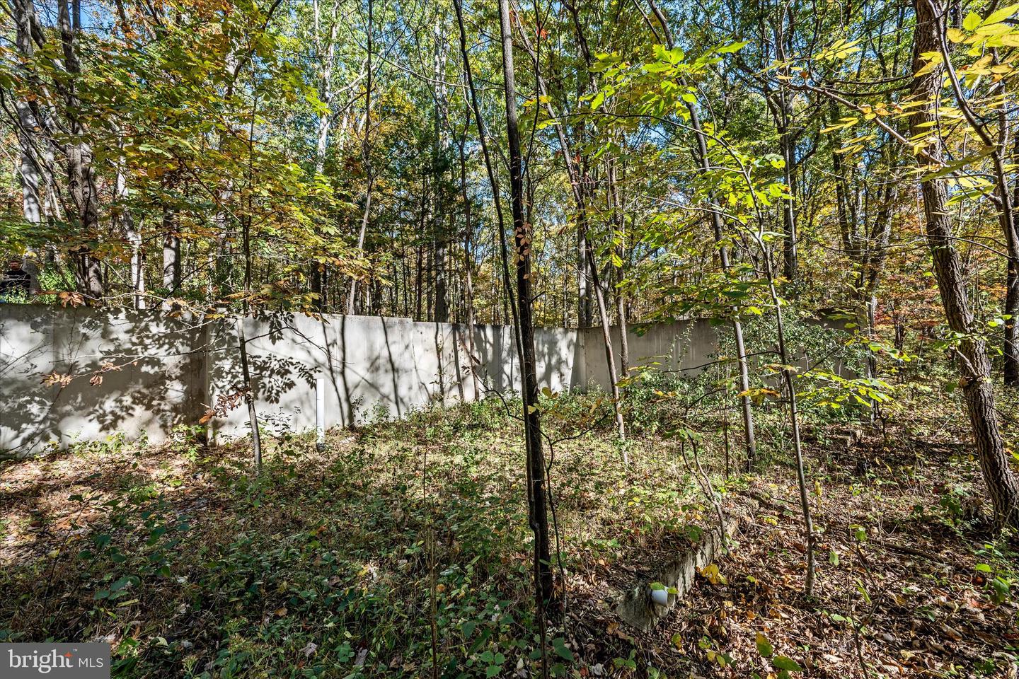 0 HEDRICK LN, WINCHESTER, Virginia 22602, ,Land,For sale,0 HEDRICK LN,VAFV2037912 MLS # VAFV2037912 0 HEDRICK LN, WINCHESTER, Virginia 22602, ,Land,For sale,0 HEDRICK LN,VAFV2037912 MLS # VAFV2037912